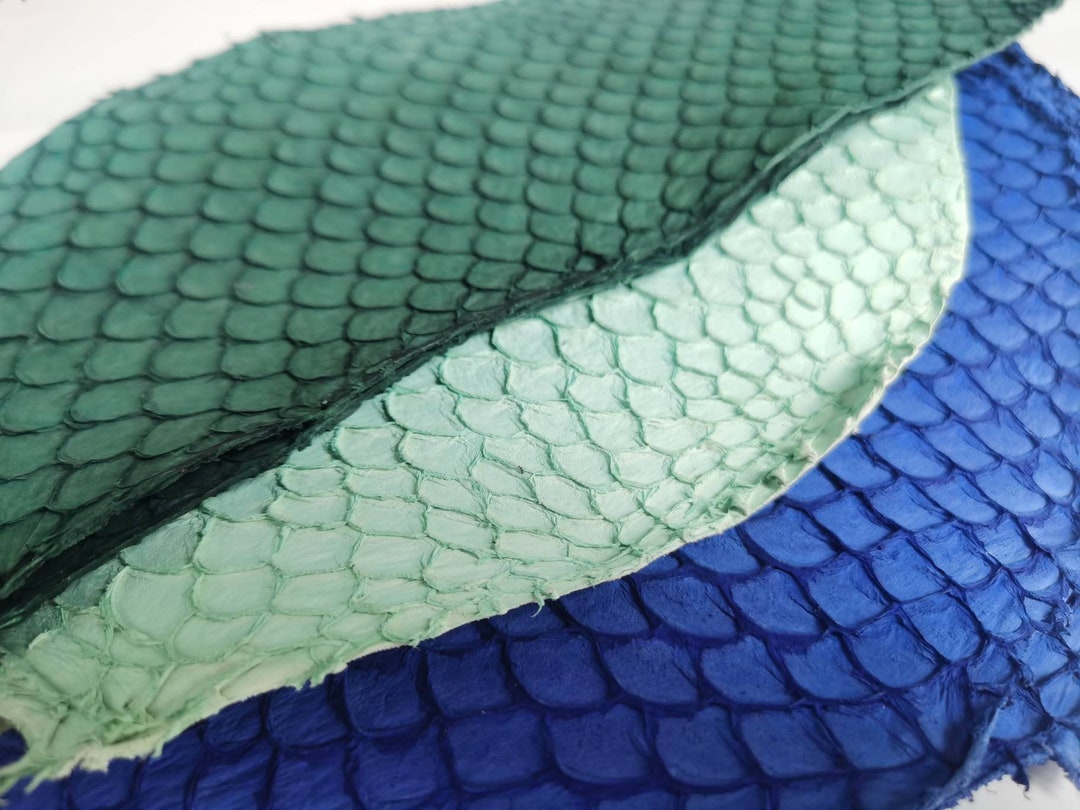 Green Blue Tilapia Fish Skin Leather Piece Genuine Whole Hide Etsy