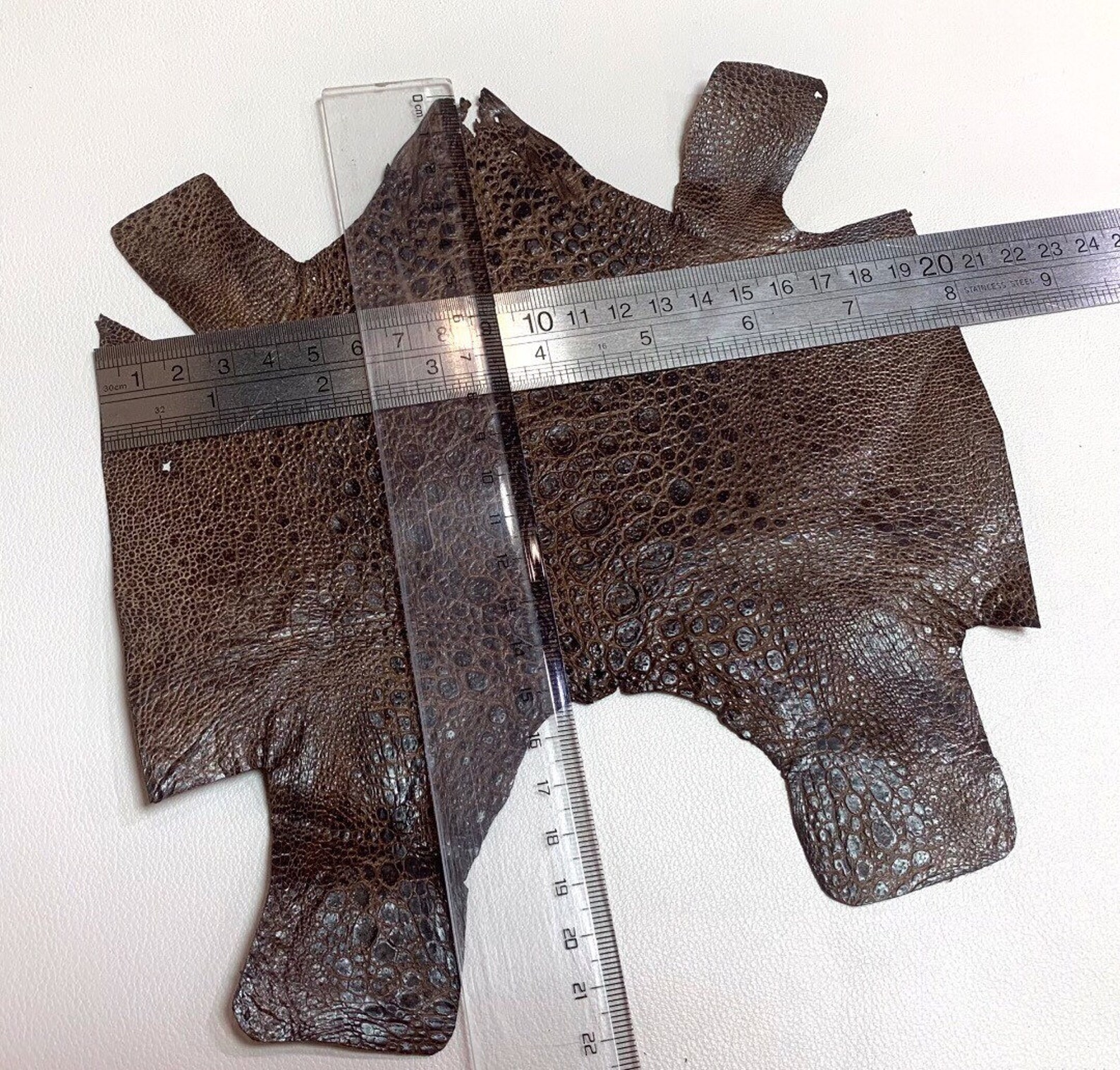 Brown Cane Toad Skin Toad leather Etsy