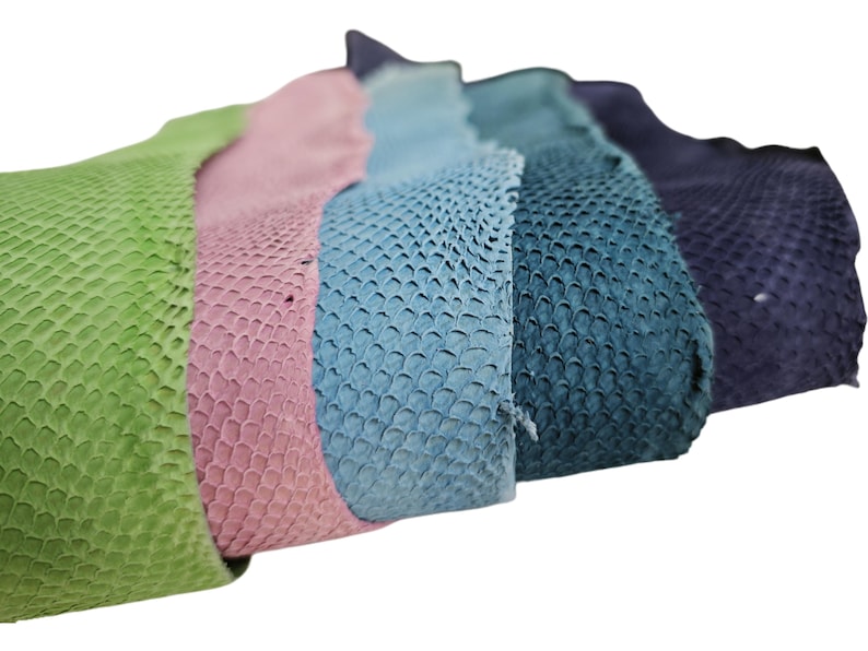 Multi Color Blue Green Purple Tan Salmon Fish Skin Leather Piece ...