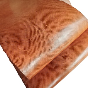 Véritable peau de serpent brune