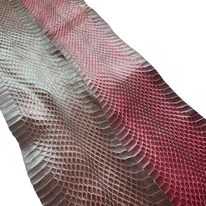 burgundy wine brown  real snake skin whole hide