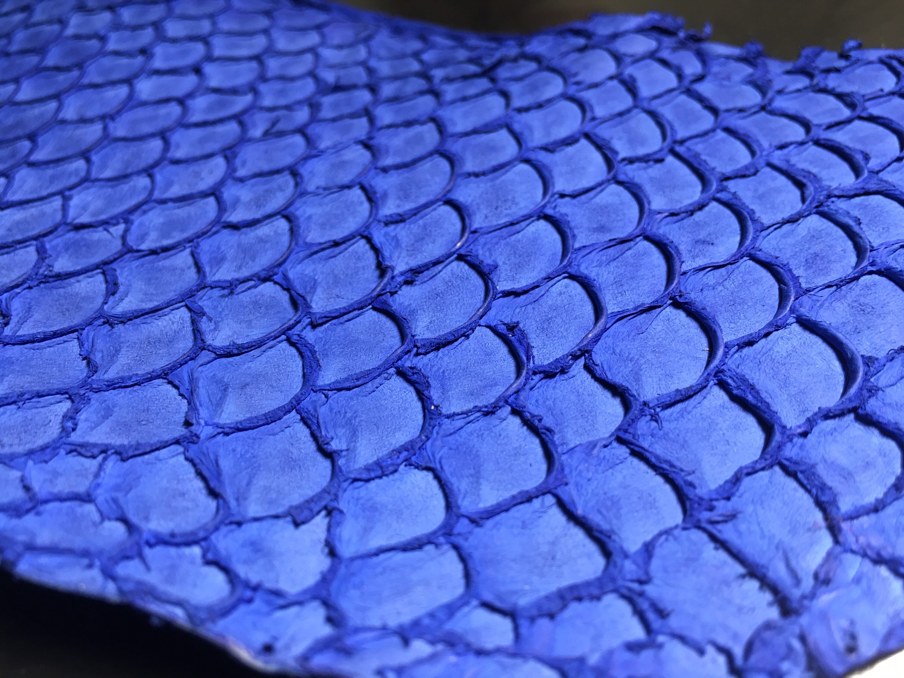 Blue Tilapia skin pieces Genuine Tilapia Leather piece Etsy
