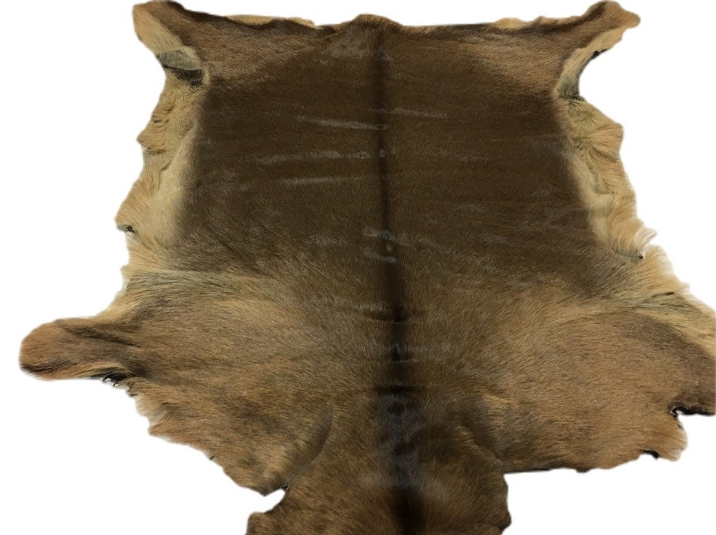 Lambskin sheep Hide sheep Fur skin Goatskin wool small piece Etsy