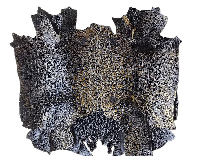 Black Gold Silver Genuine TOAD Bullfrog Skin Piece Leather - Etsy