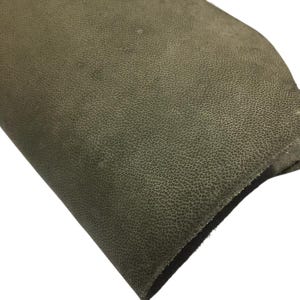 pelle di cammello pelle intera pelle un po' morbida