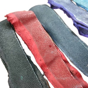 Red purple black brown unpolished Real Exotic GENUINE Stingray LEATHER Hide Skins remnants Strips