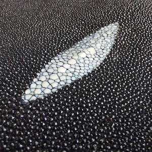 Op de afbeelding: Een close-up van een zwart lederen materiaal met een witte, ruitvormige patch van getextureerd leer in het midden.