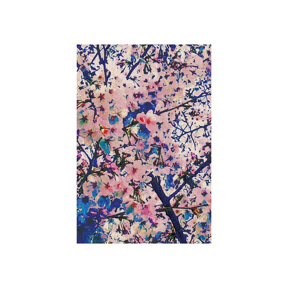 010: Cherry Blossoms (sakura) / Japanese Postcard ( Japanese