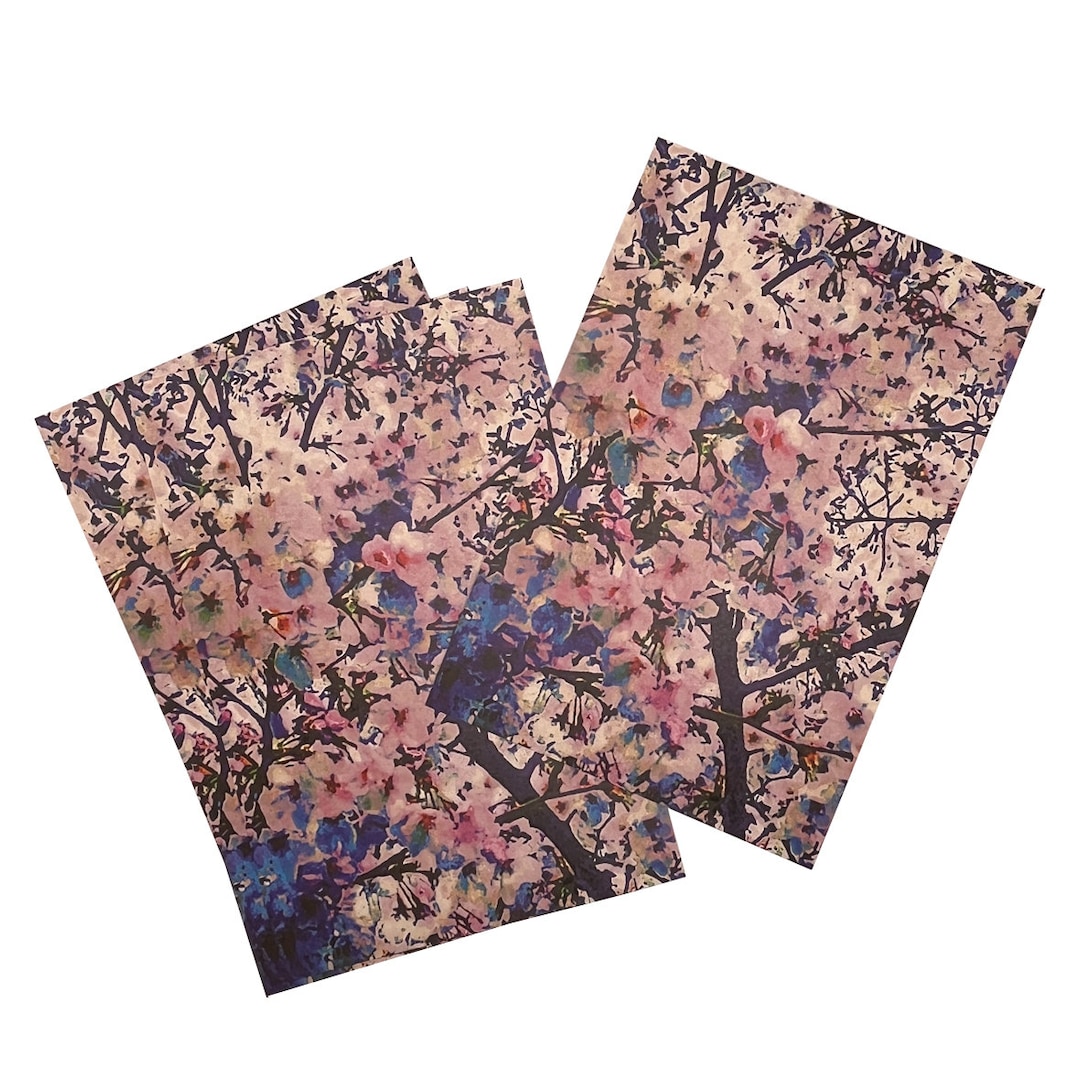 010: Cherry Blossoms (sakura) / Japanese Postcard ( Japanese