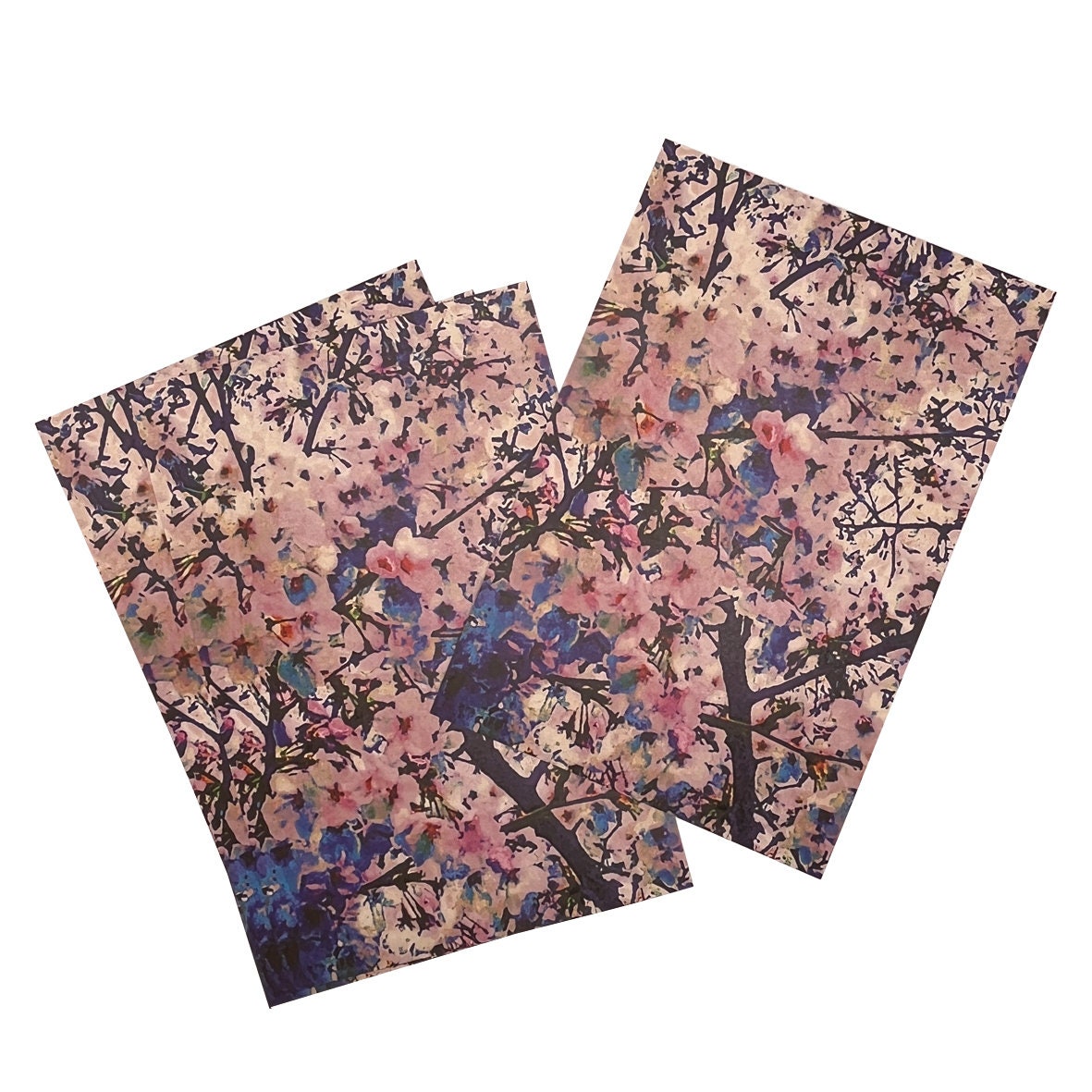 010: Cherry Blossoms (sakura) / Japanese Postcard ( Japanese