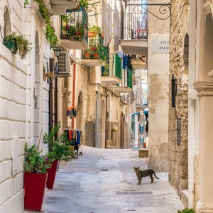 italian borgo Gargano Italy sea Puglia Photography Print Peschici oldtown village harbour mediterranean Apulia landscape Foggia
