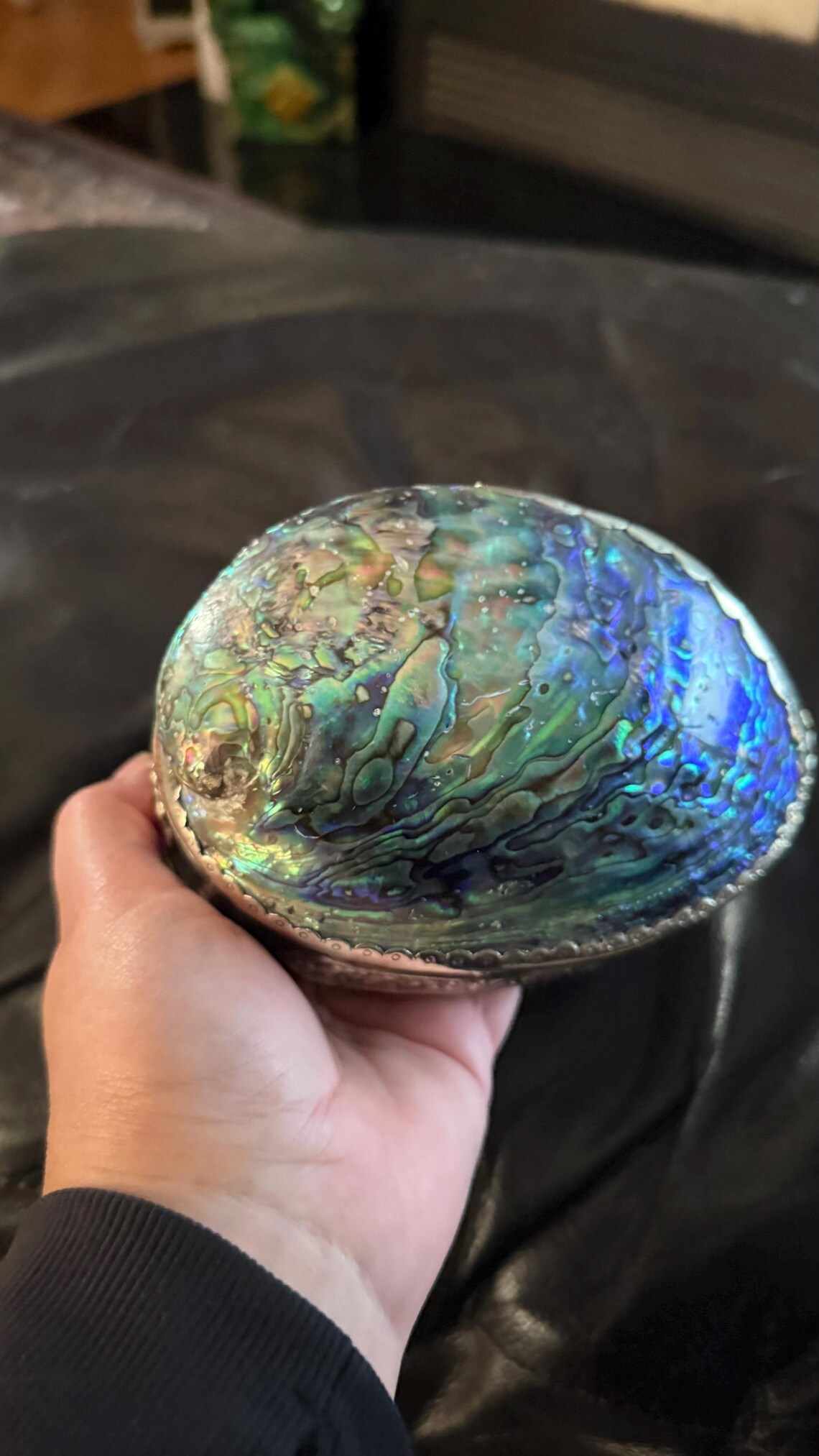 Blue Abalone Shell Box - Etsy Canada