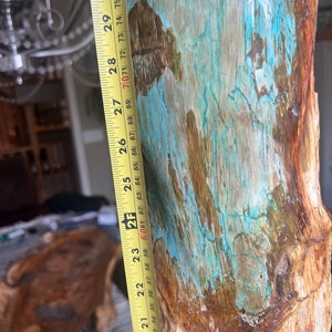 Petrified wood tower agatized