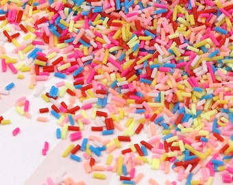 Polymer Clay Confetti Fake Sprinkles Decoden Funfetti Rainbow Jimmies P0381-17