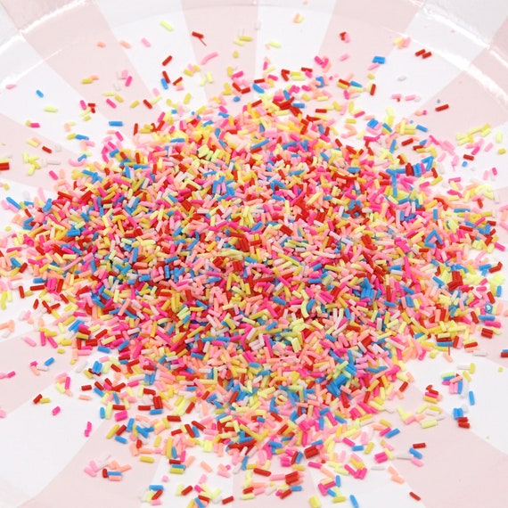 Round Confetti Fake Sprinkles Pastel Rainbow Decoden Jimmies