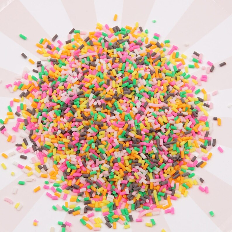 Fake Sprinkles Rainbow Sprinkles Polymer Clay Confetti Etsy