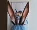 Realistic coffee Rabbit ears-Halloween-Lolita-Party ear-Floppy bunny ears-cosplay Christmas gift-fluffy fur ears-Faux ears-little rabbit ear 