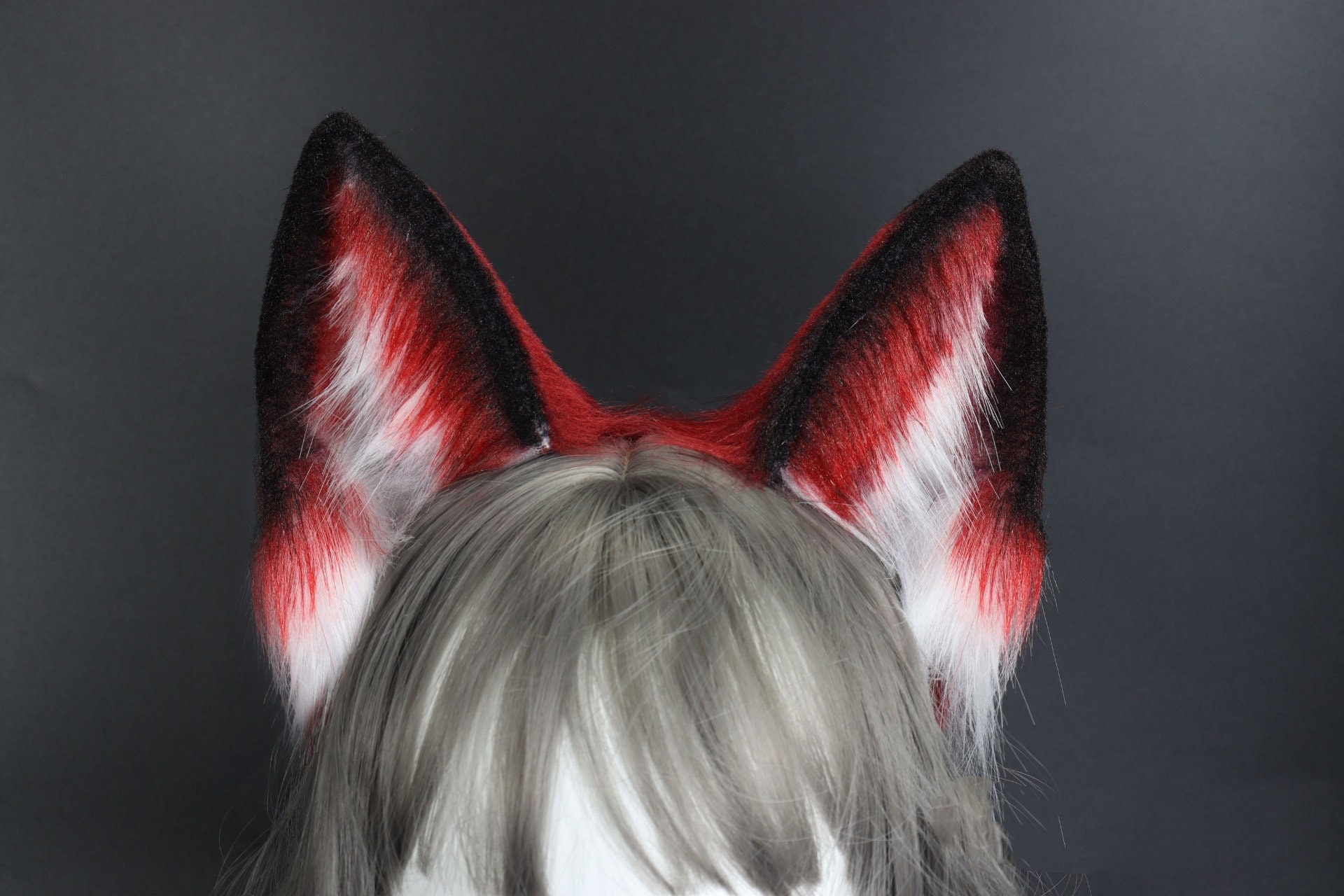 Wolf ears 2024