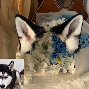 Huskie ears-Black Dog ears-fluffy fur ears-wolf ears-alloween-Lolita-Hair band-Animal ear-Gift-husky ears-party cosplay ear-Beast ear