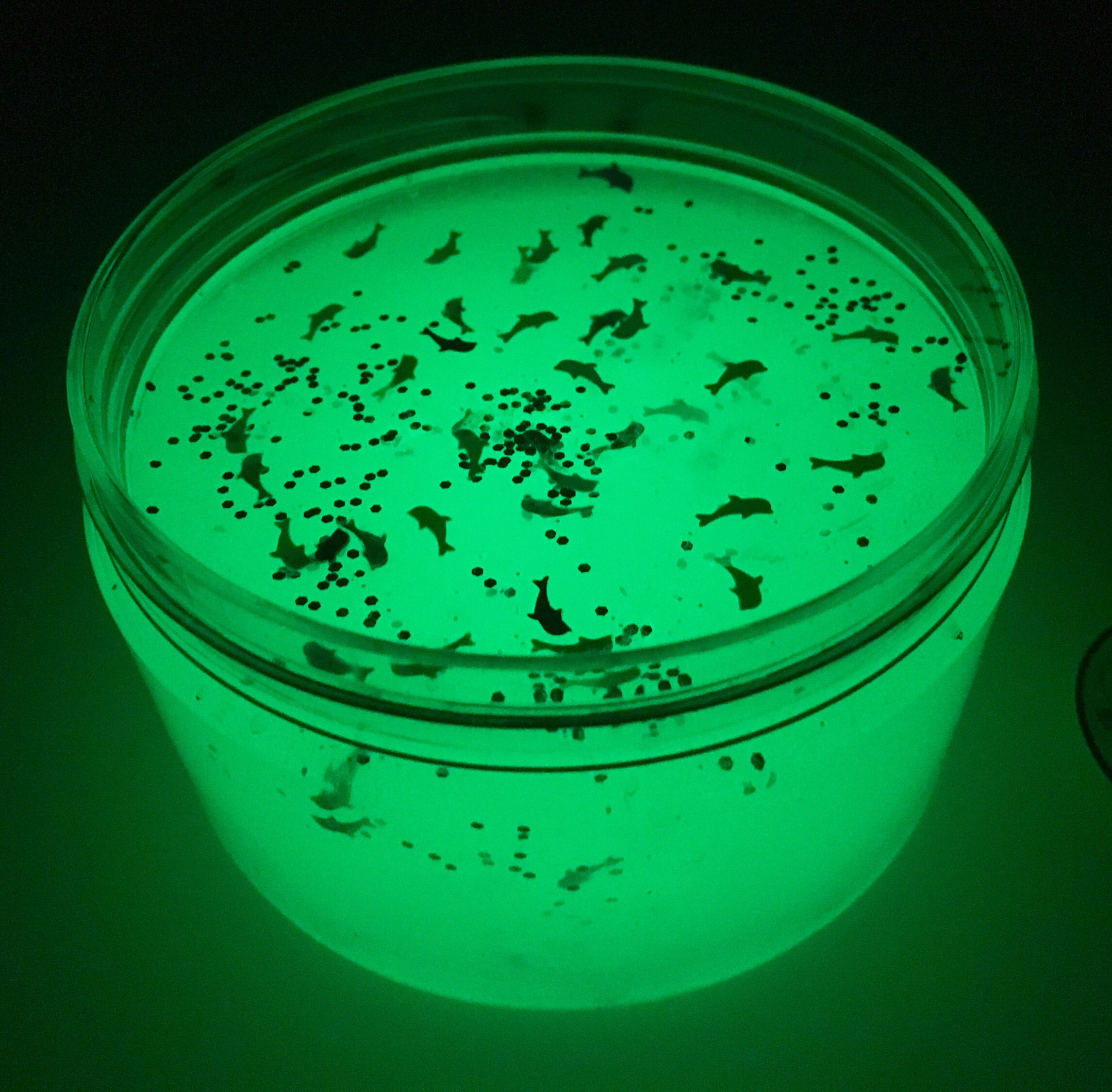 Piscine's Journey Glow In The Dark Slime Metallic Whale Etsy