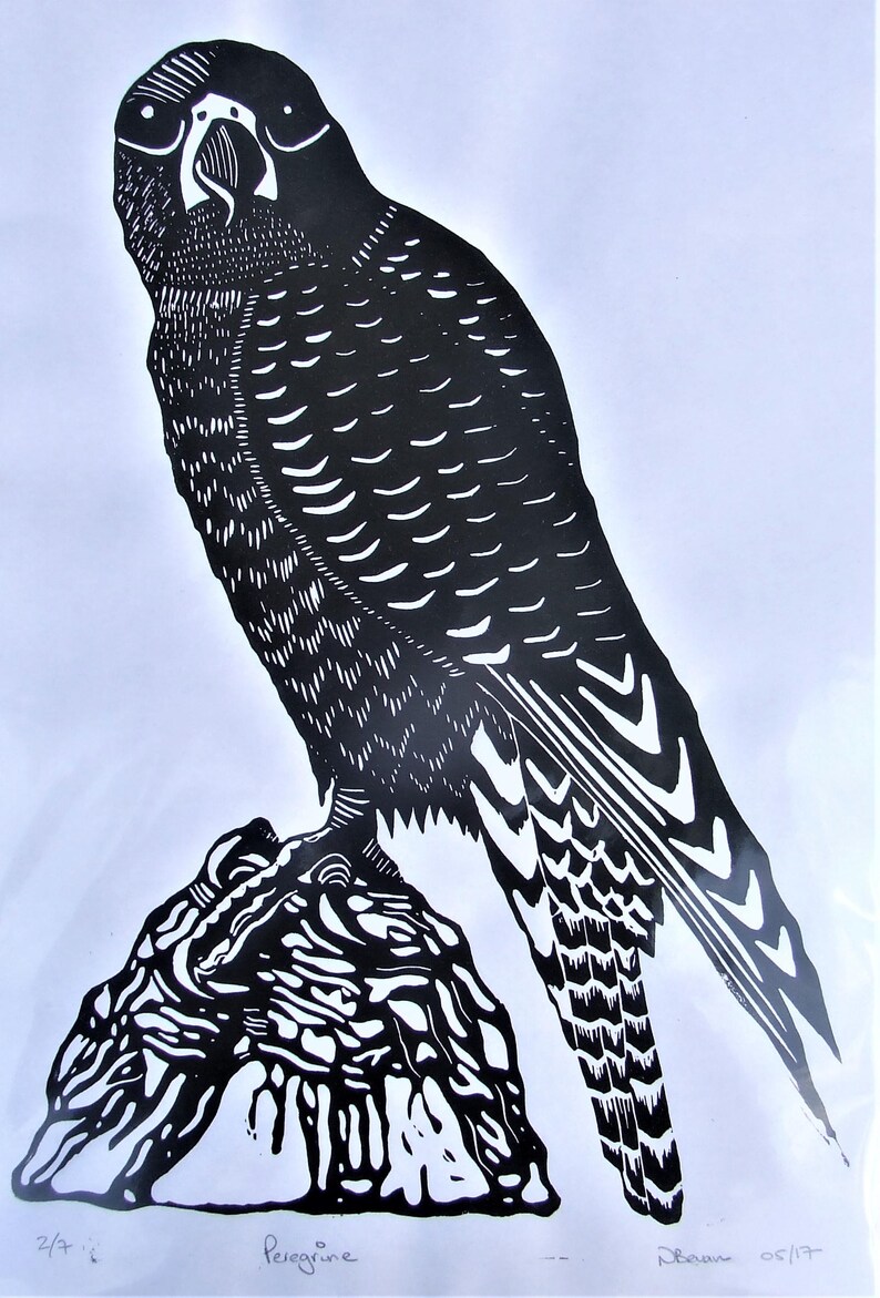 Peregrine linocut print