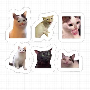 6 Pack Cat Meme Stickers Pack, Huilende Cat Meme Stickers, Meme Stickers, Cat Meme Stickers, Sad Cat Sticker, Cat Stickers Meme Cat Sticker