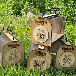 Custom Bug Keeper, Bug Catcher, Bug House