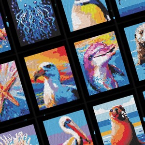 May include: A collage of nine colorful images featuring various sea creatures, including a starfish, a penguin, a dolphin, a sea turtle, a sea otter, a pelican, and a bird with a yellow beak. The images are framed in black and have a blue background.