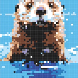 May include: A close-up of a brown and white otter with a black nose and eyes, swimming in blue water. The otter is looking directly at the camera.