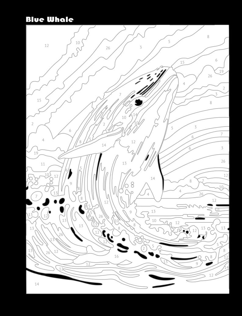 May include: A black and white line art image of a blue whale breaching the water. The image is numbered for a paint-by-number activity.