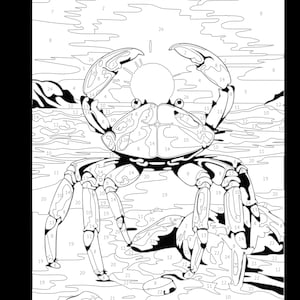 May include: A black and white line art image of a crab on a beach with numbers for a paint by number activity. The crab is in the center of the image and is facing the viewer. The crab has large claws and a segmented body. The beach is represented by wavy lines and the sky is represented by clouds.