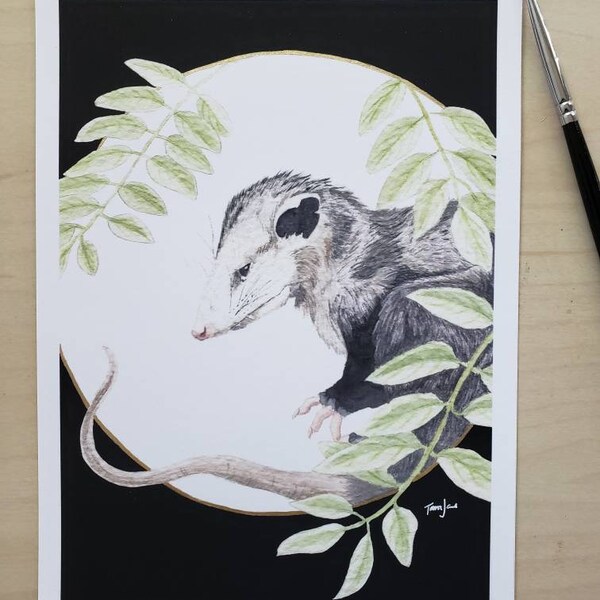 Via Vitae - Luna Possum