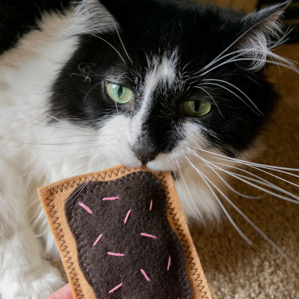 Cat Toys Catnip Onigiri Rice Ball Onigiri Japanese Food Etsy