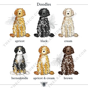 May include: A watercolor illustration titled Doodles featuring six sitting dogs in different colors: apricot, black, cream, bernedoodle, apricot and cream, and brown. Each dog has a fluffy coat and is labeled with its color name below.