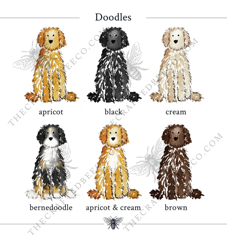 May include: A watercolor illustration titled Doodles featuring six sitting dogs in different colors: apricot, black, cream, bernedoodle, apricot and cream, and brown. Each dog has a fluffy coat and is labeled with its color name below.