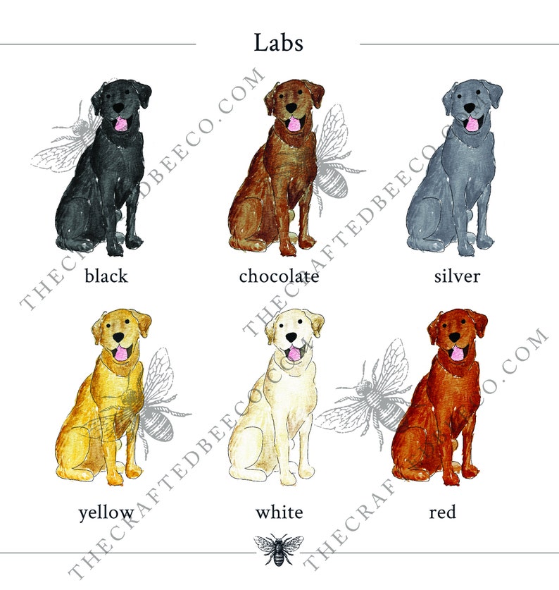 Akvarell labrador jersey-filt | Labrador babyfilt, choklad labrador babyfilt, gul labrador-filt, vit labrador babypresent bild 2