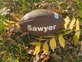 Customized Personalized Wilson NCAA Football, Multiple Sizes Custom Football Gift