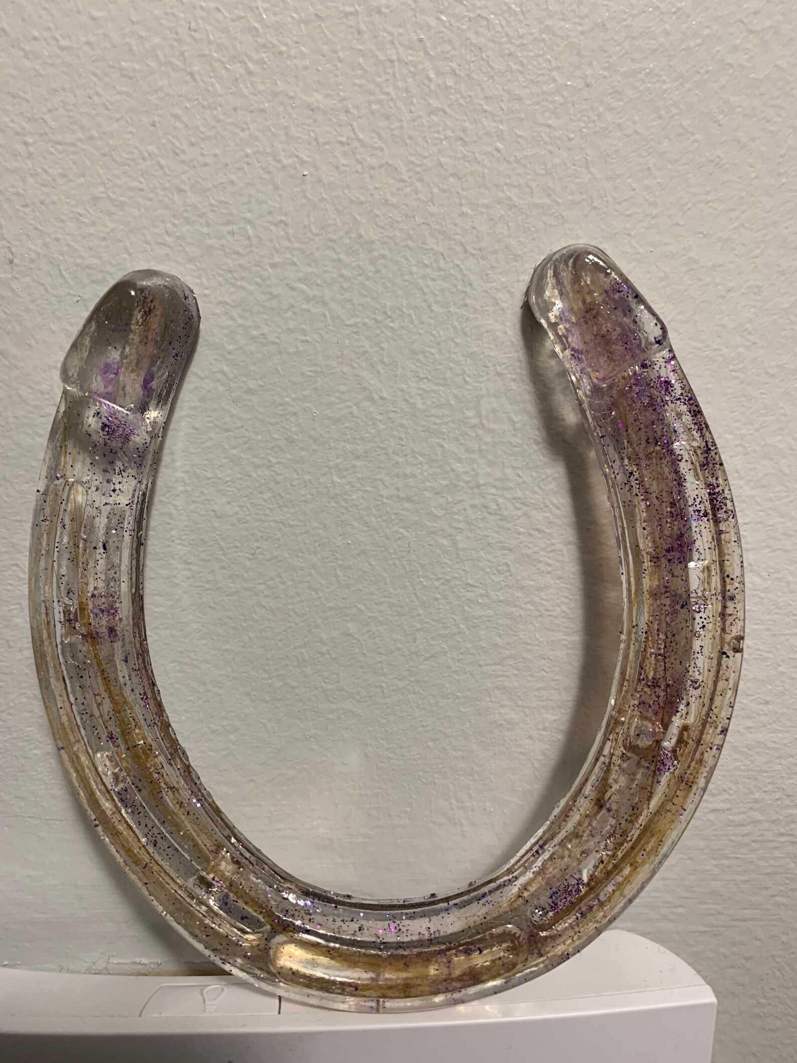 Horse hair keepsake memorial resin horse shoe preserving your Etsy