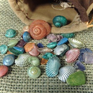 DoeHill Pouch ~ With Seashells ~ Great Stocking Stuffer