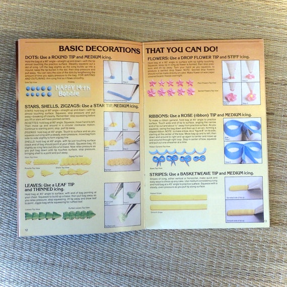 Wilton Cake Decorating Starter Kit Beginners Guide to Cake