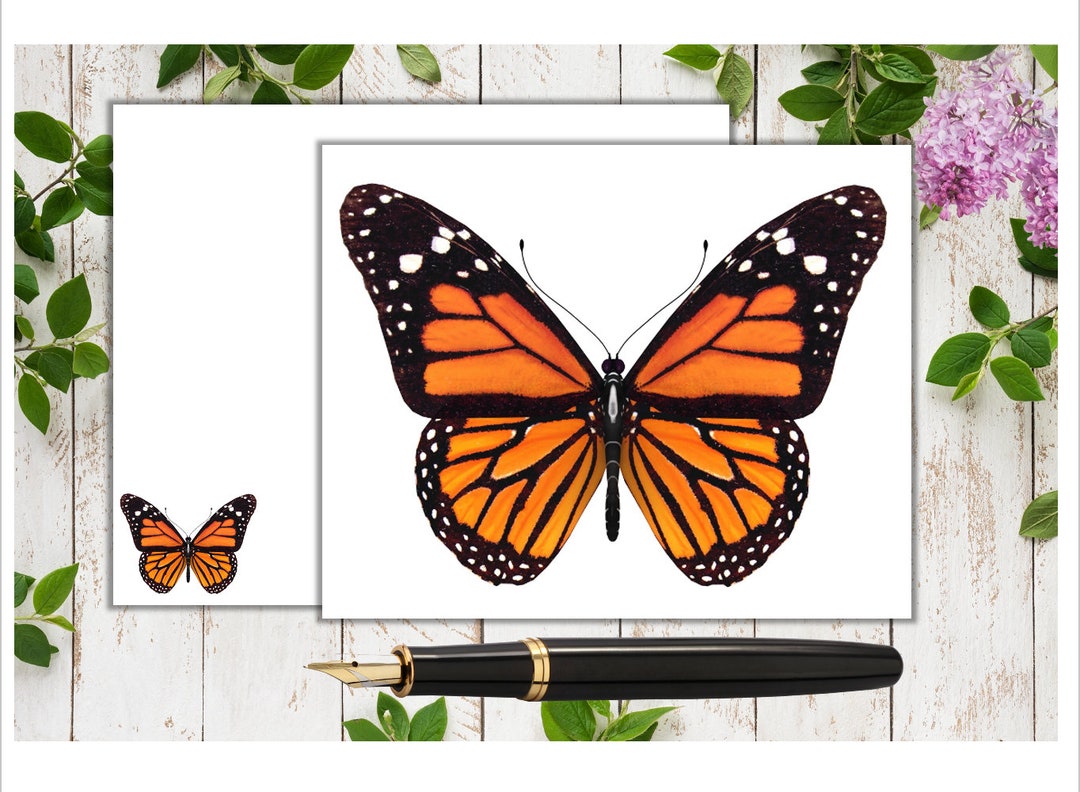 Butterfly Cards - Monarch - Set of 10 Blank Cards With Matching ...