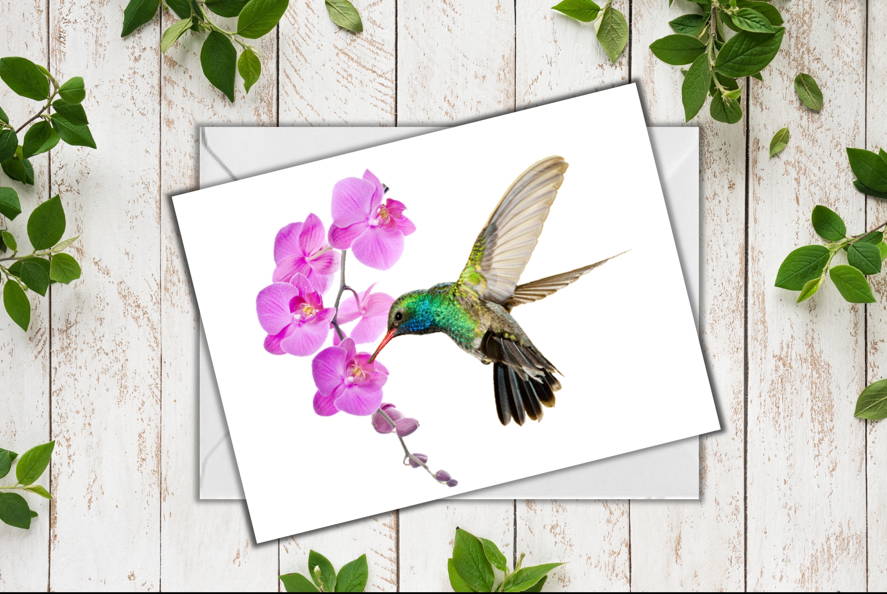 Hummingbird Notecards - set of 10