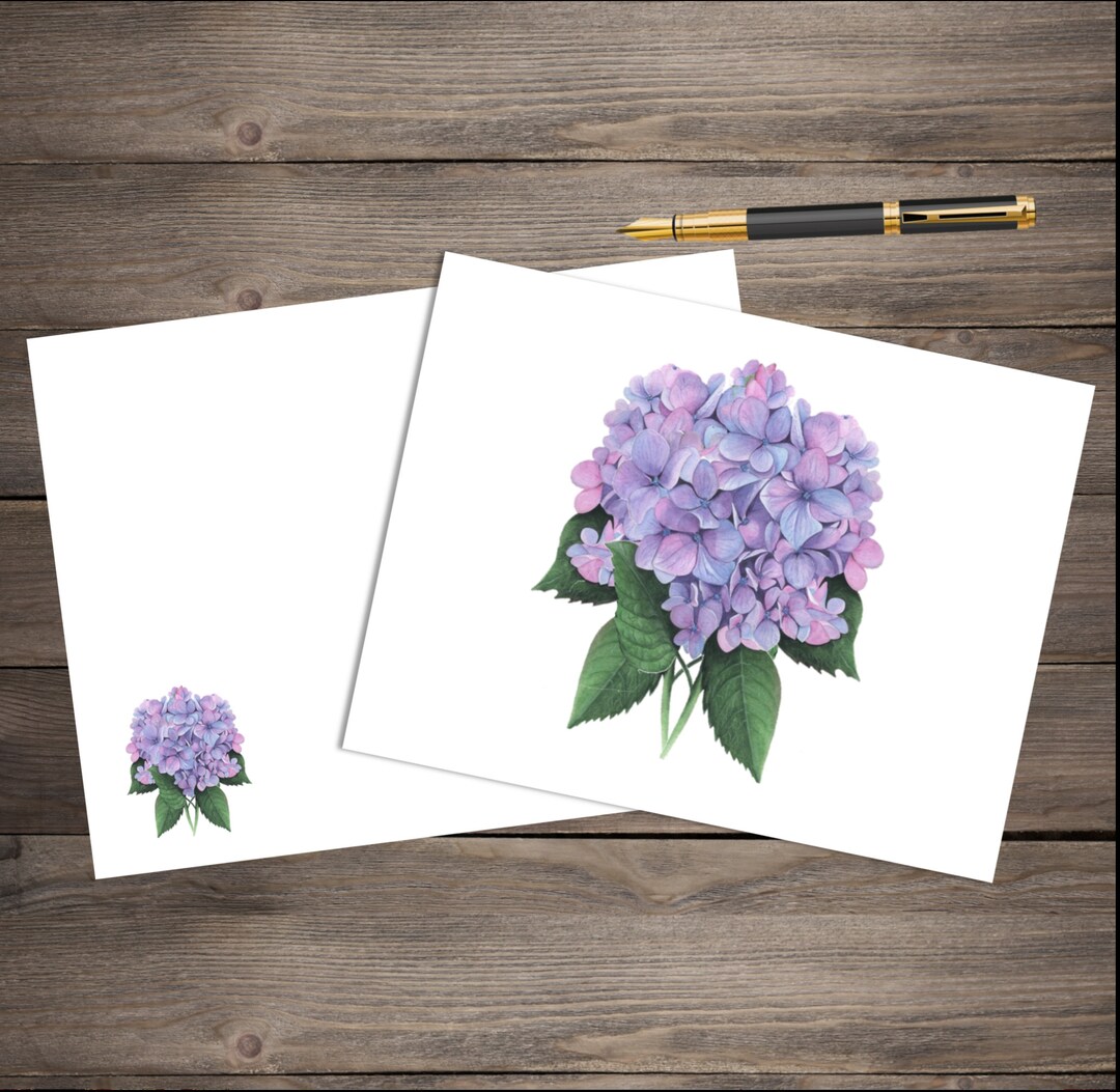 Floral Cards - Hydrangea - Set of 10 Blank Cards With Matching ...