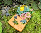 Sleepy Succulent Babies - Tropical Garden Pikachu (ピカチュウ) Yellow Gameboy Color Pokemon Terrarium