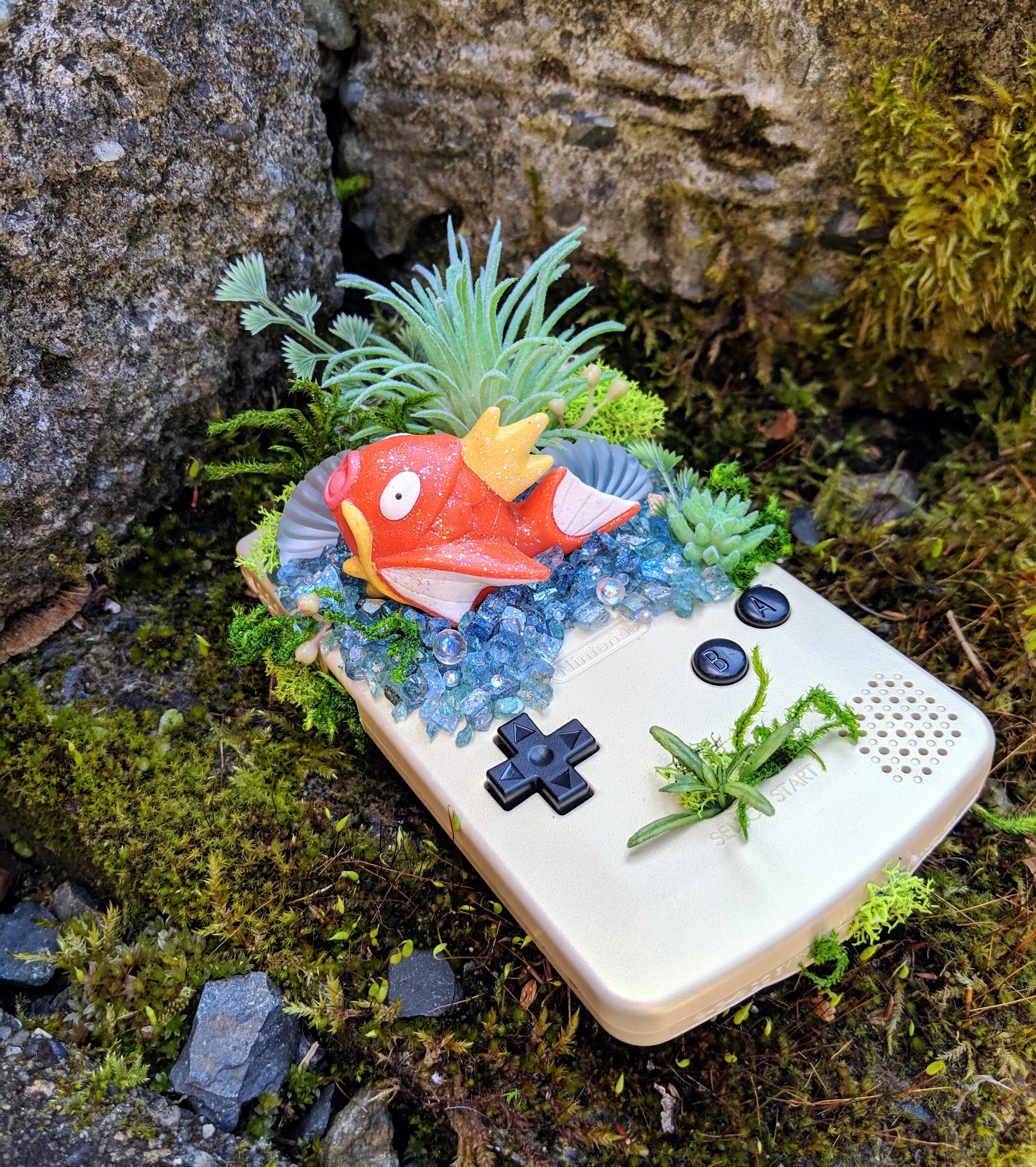 Kabuki Magikarp コイキング Koiking Gold Gameboy Color Succulent Etsy New Zealand
