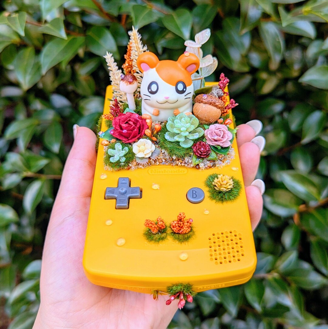 Hamtaro Gameboy Color Terrarium Diorama - Etsy