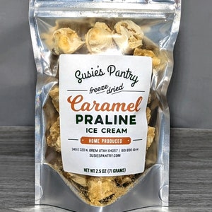 Freeze Dried Caramel Praline Ice Cream (Small Sizes)