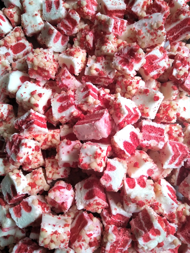 Freeze Dried Strawberry Shortcake Ice Cream Bites image 3