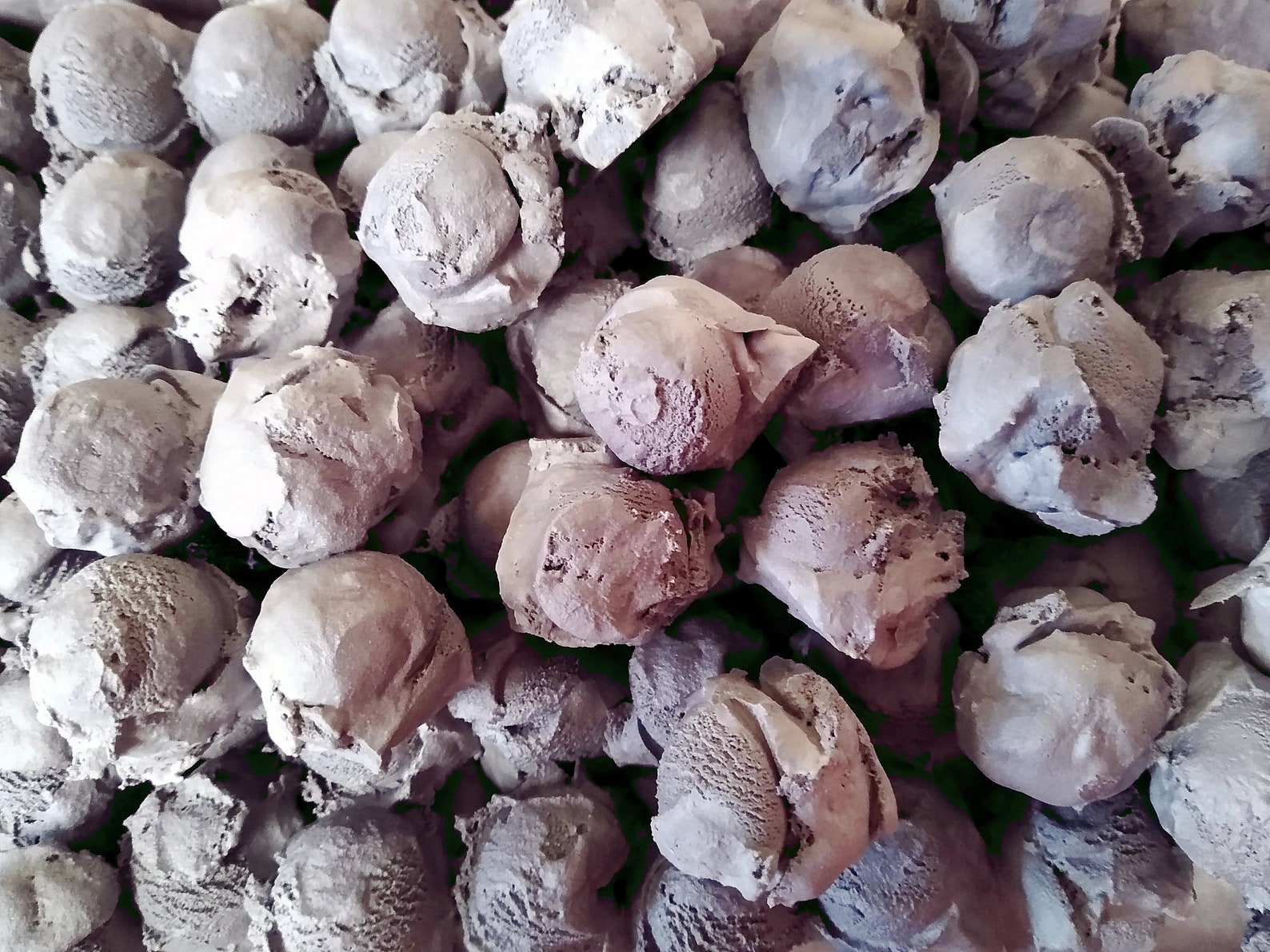 Freeze Dried Black Licorice Ice Cream Etsy