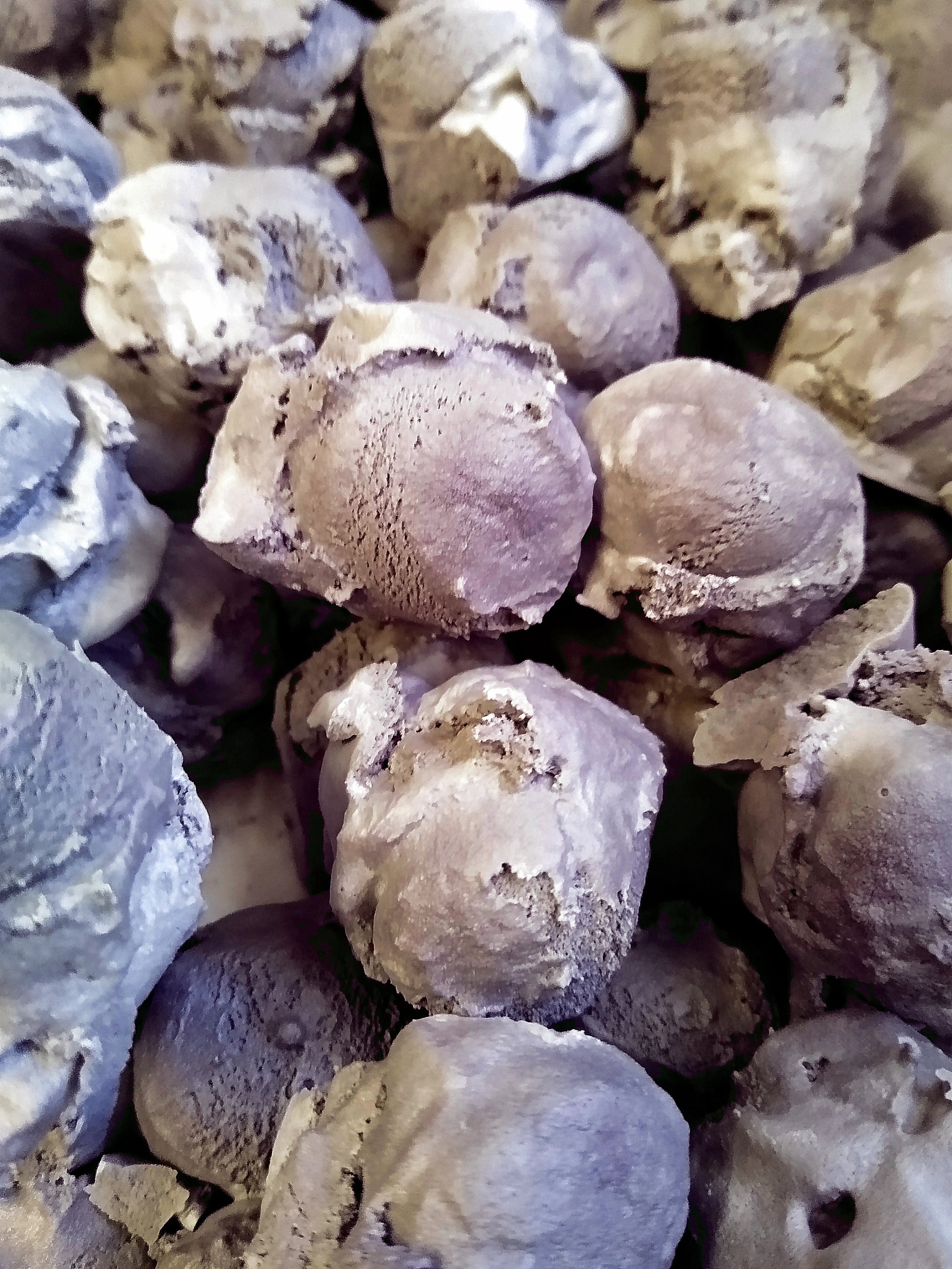 Freeze Dried Black Licorice Ice Cream Etsy